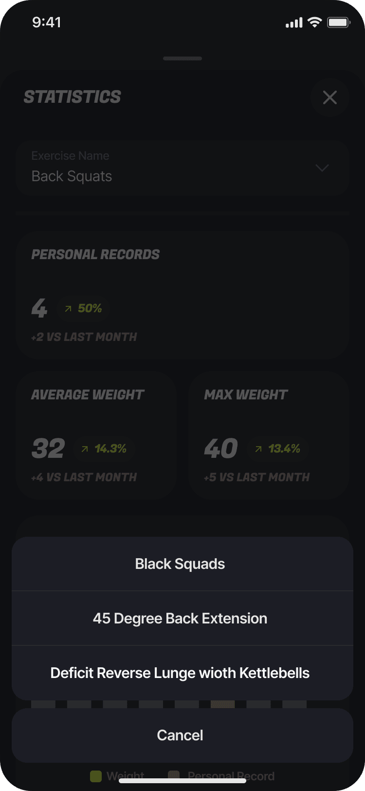 FitEcho statistics and progress tracking